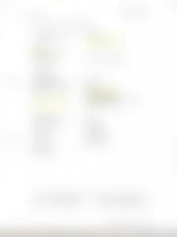 Document preview with all content obscured